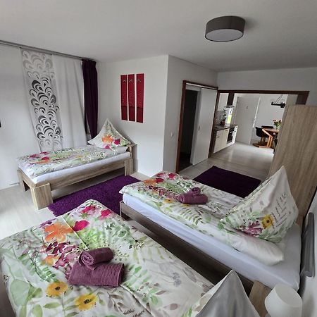 شقة La Casa Suciu Forchtenberg المظهر الخارجي الصورة